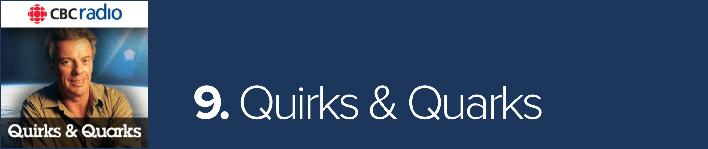 Quirks and Quarks