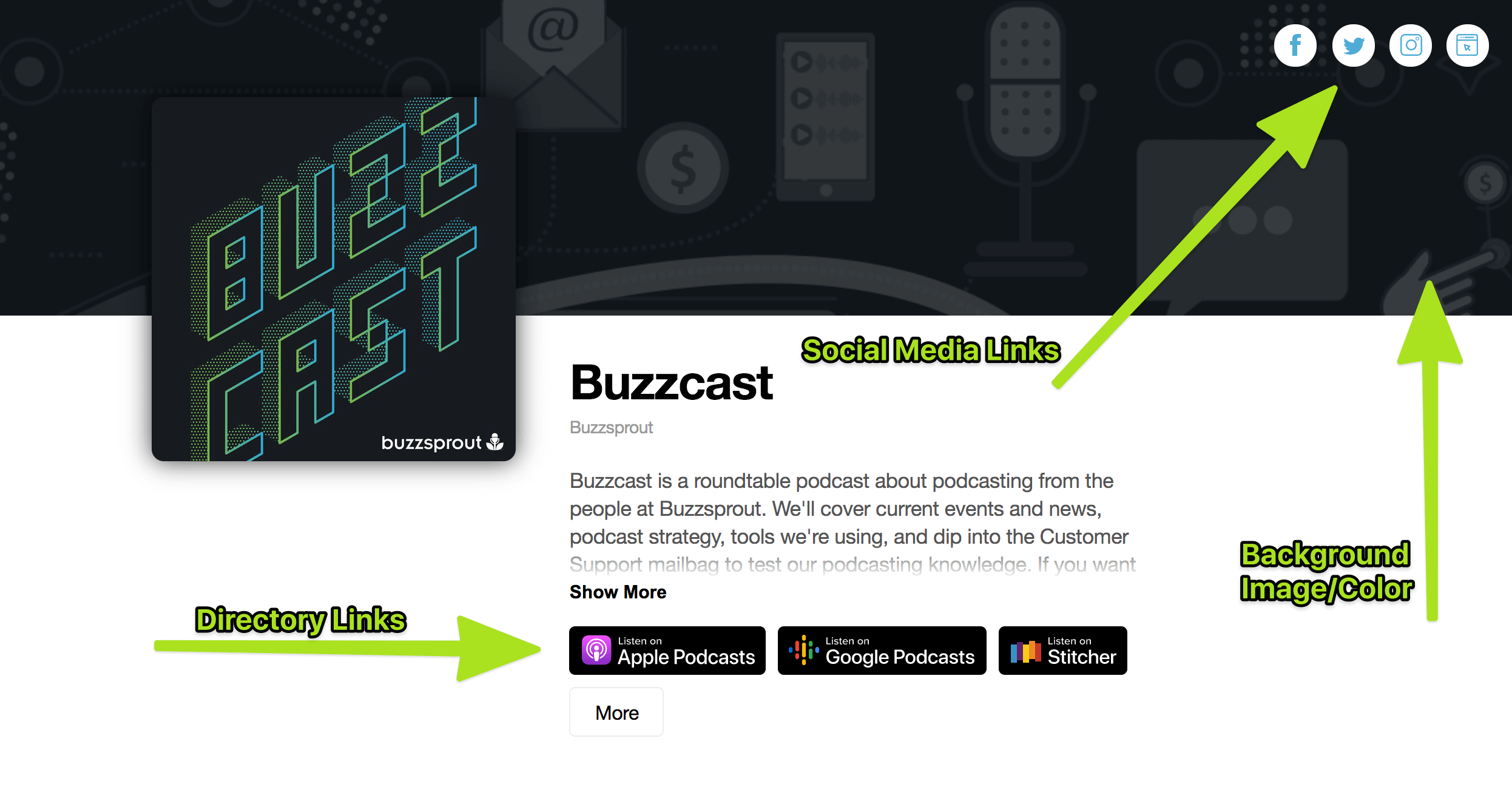 Customize your Buzzsprout Website - Buzzsprout Help